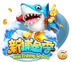 星空足球app官方版通用版